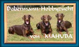 Hobbyzucht von MAHUBA